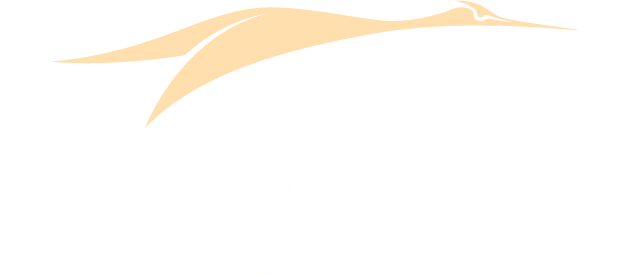 Kauri Bay Auckland